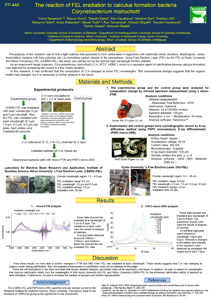歯石形成原因菌Corynebacterium matruchottiに対するFEL照射反応