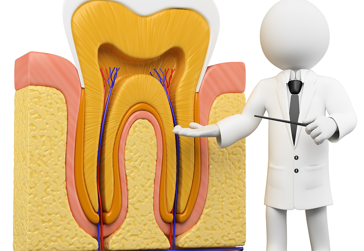進行した虫歯でも歯を残せるかもしれない「根管治療」とは？
