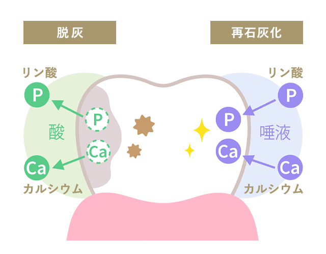 むし歯になりにくい食習慣とは？