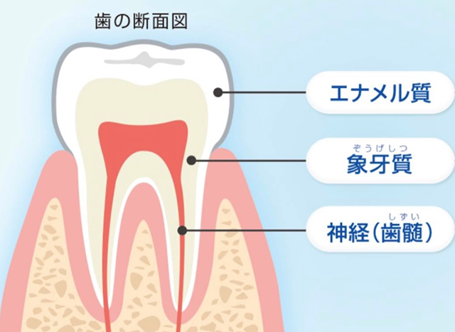 歯を磨くタイミングはいつがいいの？
