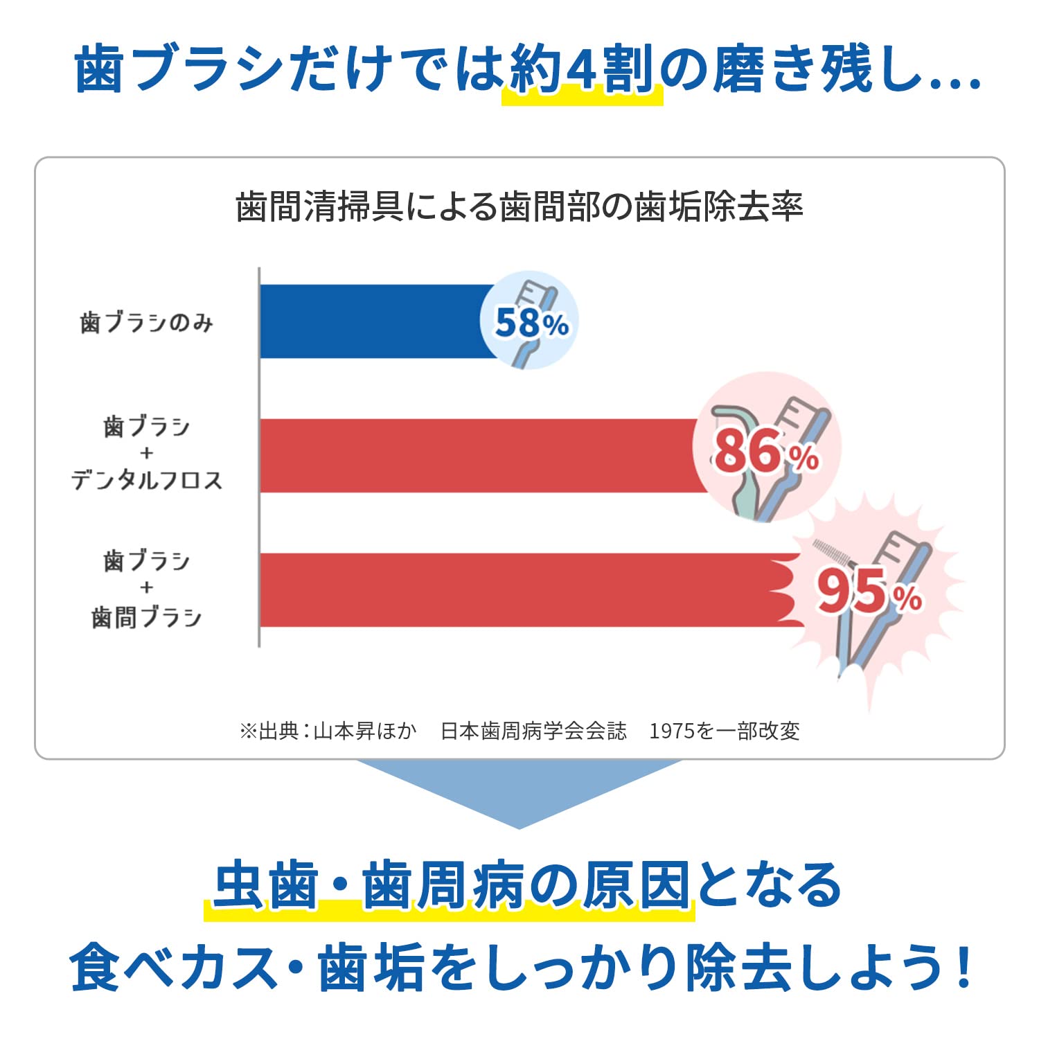 1日に何回歯を磨くのがいいの？