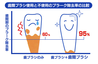 1日に何回歯を磨くのがいいの？